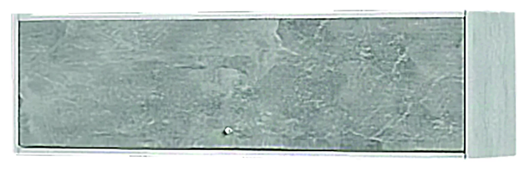Полка-1